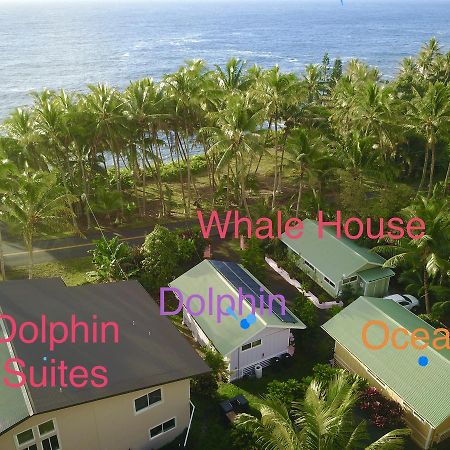Whale House At Kehena Beach Pahoa Kültér fotó