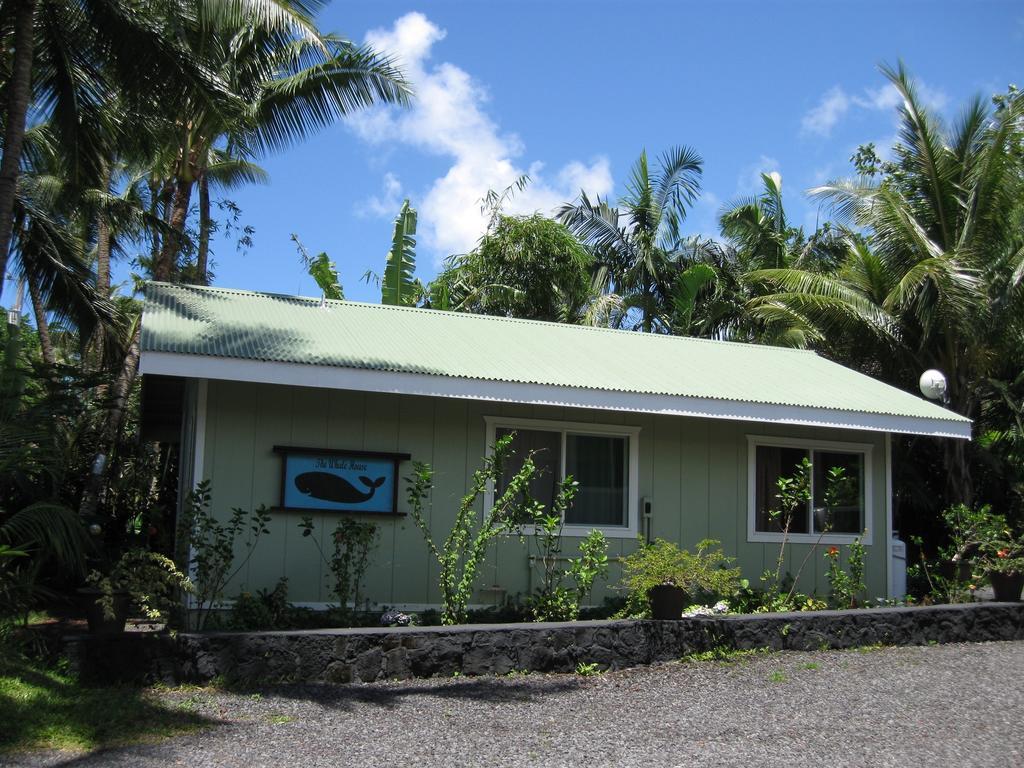 Whale House At Kehena Beach Pahoa Szoba fotó