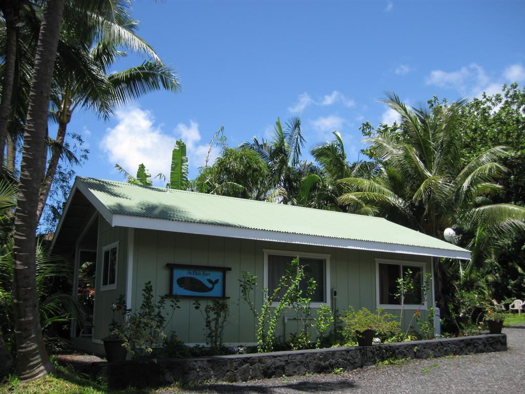 Whale House At Kehena Beach Pahoa Szoba fotó