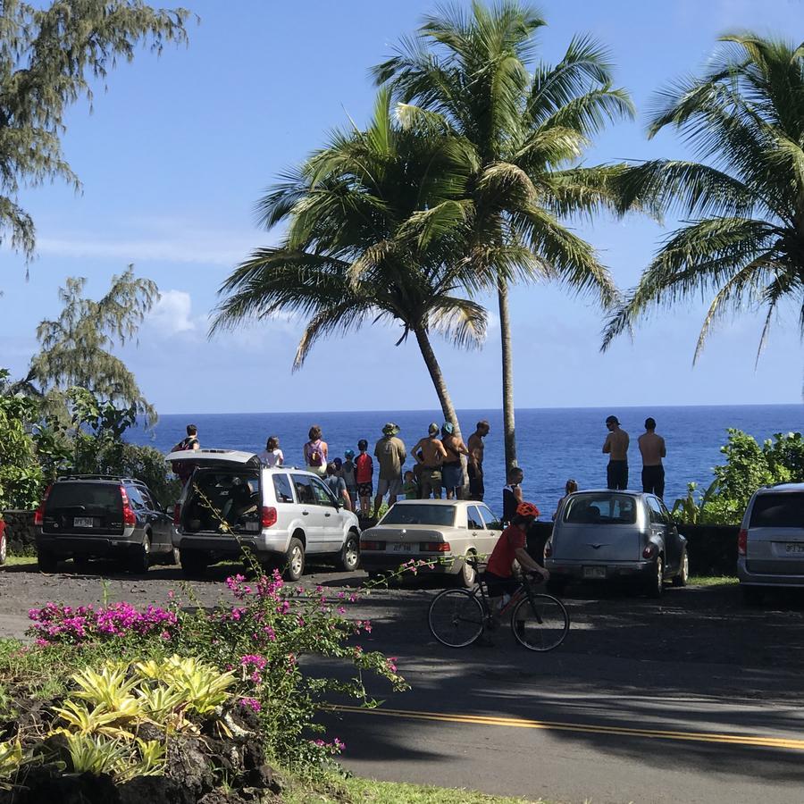 Whale House At Kehena Beach Pahoa Kültér fotó