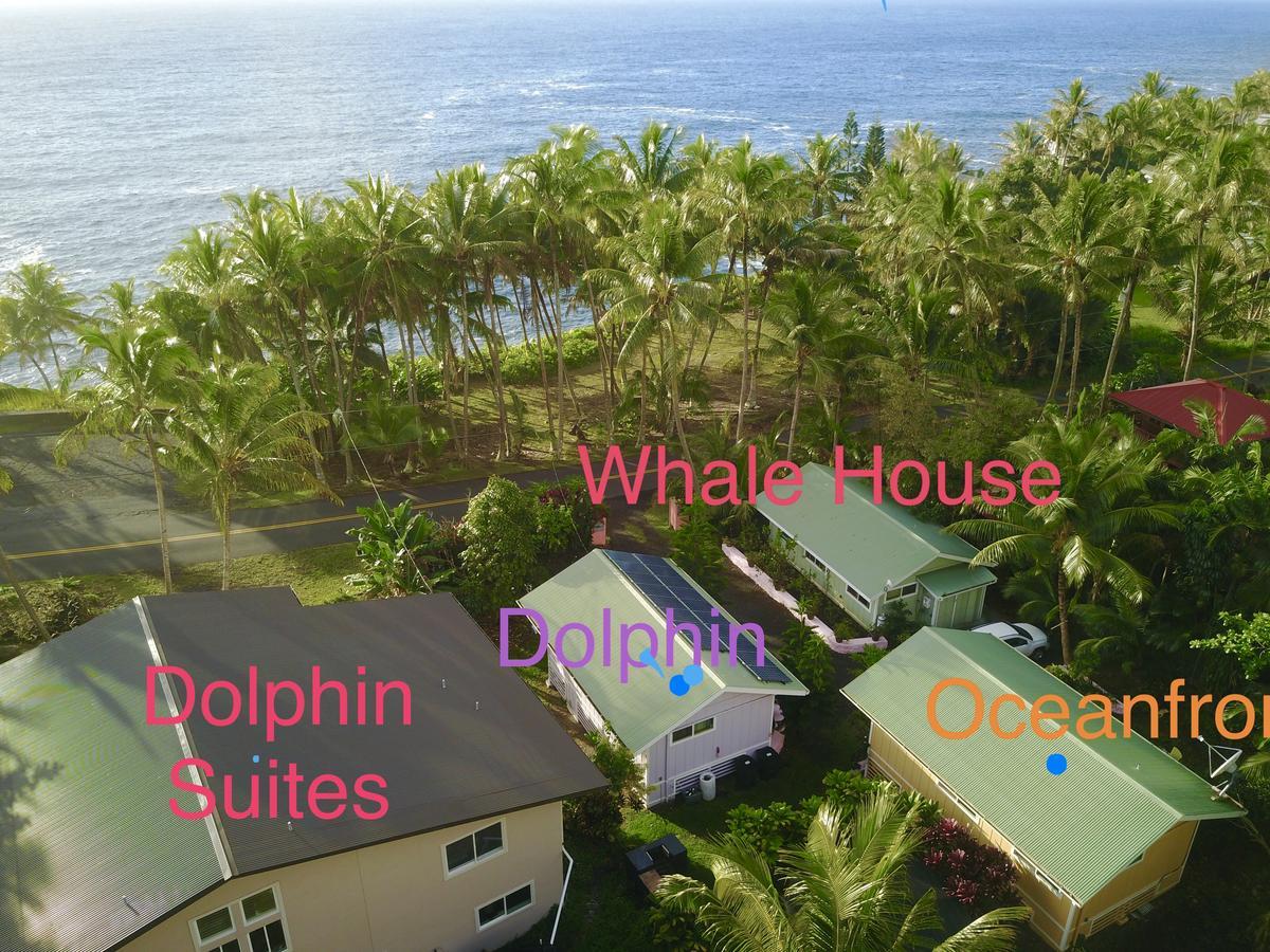 Whale House At Kehena Beach Pahoa Kültér fotó