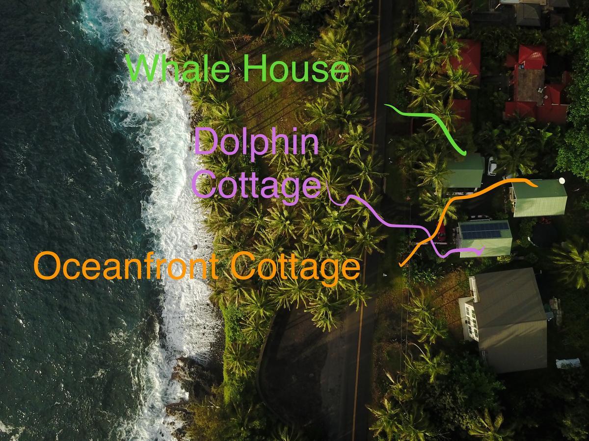 Whale House At Kehena Beach Pahoa Kültér fotó